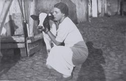 Halina Rurek z cielakiem,
Z archiwum rodzinnego Anny Nowickiej