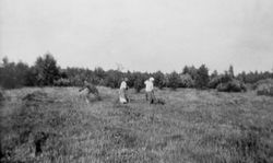 Olżewo Wielkie obw. grodzieński, Białoruś
sianokosy, lato 1939 r.
Z archiwum rodzinnego Teresy Lasockiej
