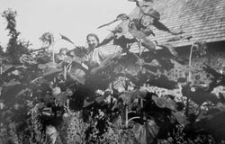 Olżewo Wielkie, obw. grodzieński, Białoruś,
Cecylia Krasicka h. Rogala w ogrodzie, lato 1939 r.,
Z archiwum rodzinnego Teresy ...
