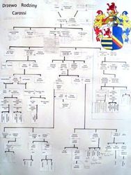 Drzewo genealogiczne
rodziny Carossi,
Z archiwum rodzinnego Joanny Moraczewskiej – Gwiazdowskiej